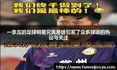 一条龙的足球明星究竟是谁引发了众多球迷的热议与关注