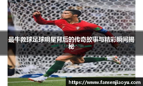 易倍体育官方网站