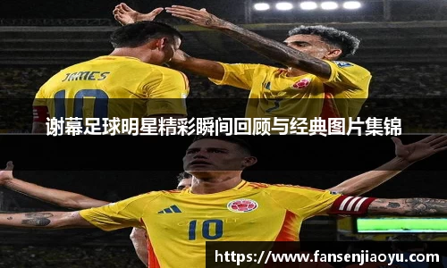 易倍体育官方网站